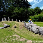 Earthy Dragon at Dunorlan Park - Tunbridge Wells