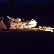 Dragon at West Stow Country Park 2016